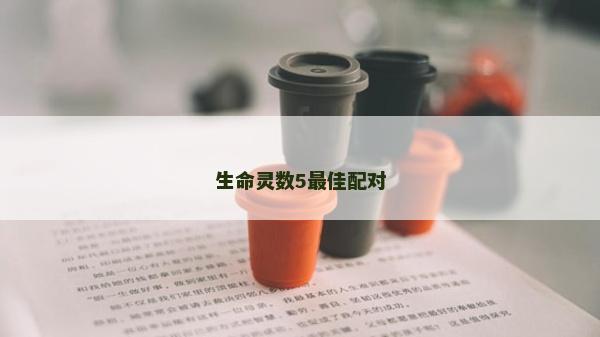 生命灵数5最佳配对