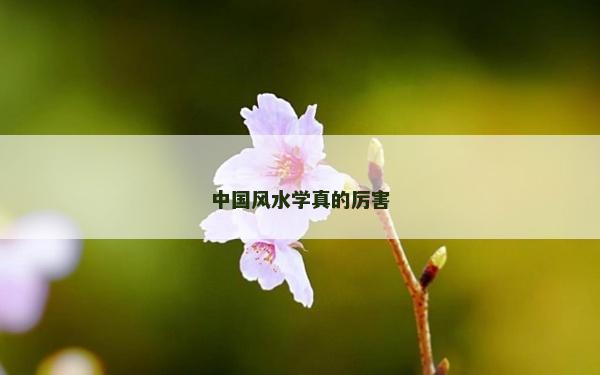 中国风水学真的厉害