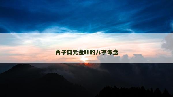 丙子日元金旺的八字命盘
