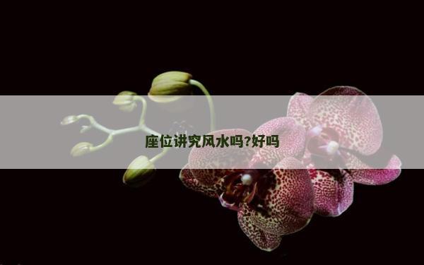 座位讲究风水吗?好吗