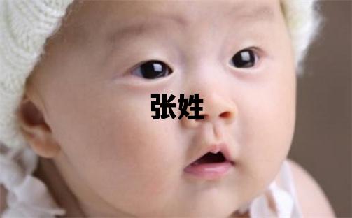 张姓取名有灵气的男宝宝名字
