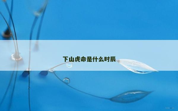 下山虎命是什么时辰