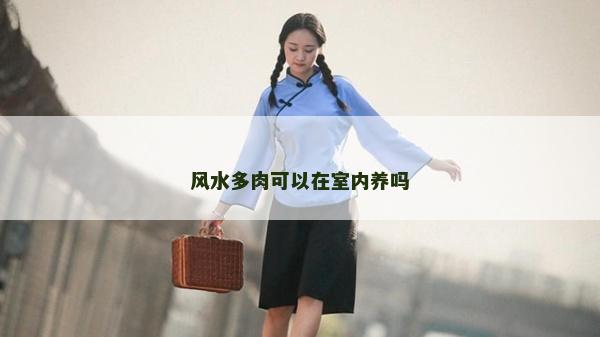 风水多肉可以在室内养吗