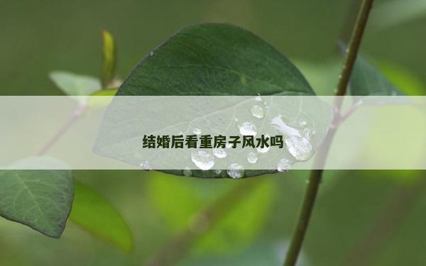 结婚后看重房子风水吗