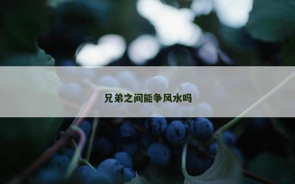 兄弟之间能争风水吗
