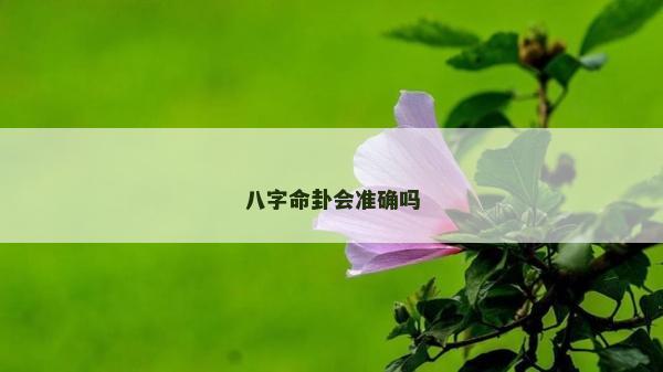 八字命卦会准确吗