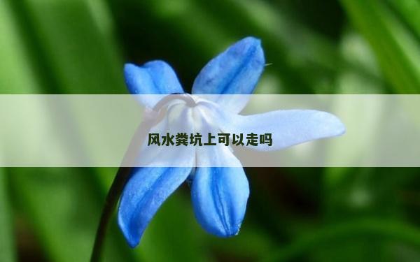 风水粪坑上可以走吗
