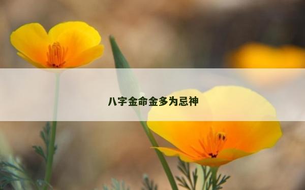 八字金命金多为忌神