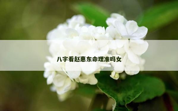 八字看赵惠东命理准吗女