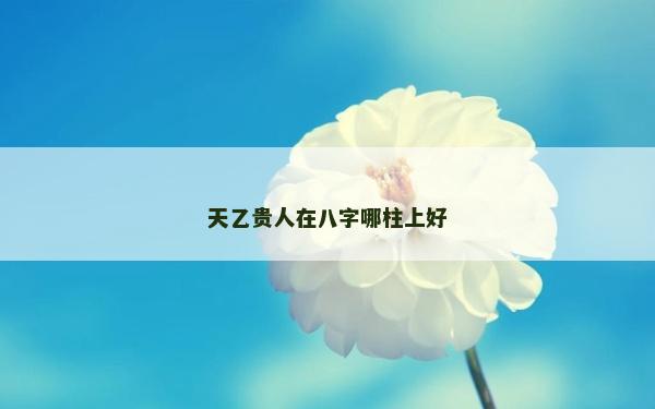 天乙贵人在八字哪柱上好