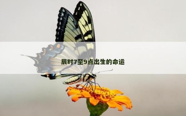 辰时7至9点出生的命运