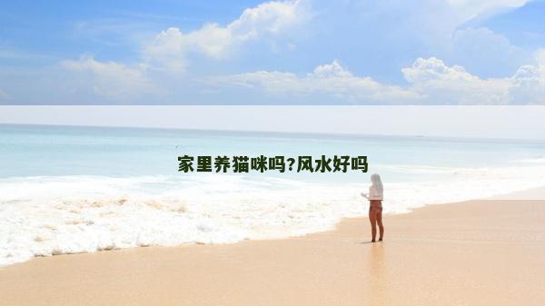 家里养猫咪吗?风水好吗