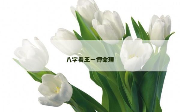 八字看王一博命理