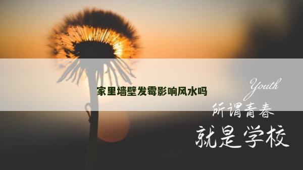 家里墙壁发霉影响风水吗