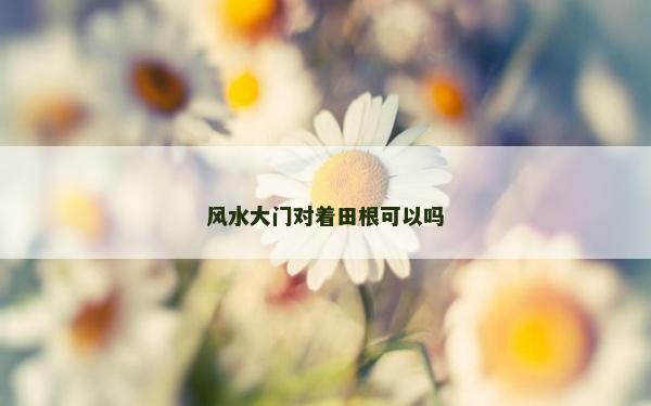 风水大门对着田根可以吗