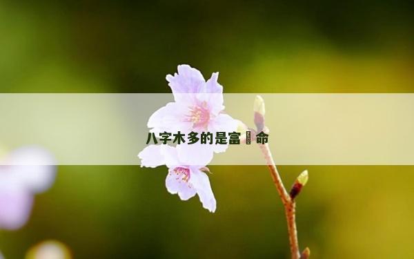 八字木多的是富貴命