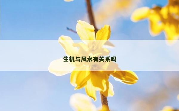 生机与风水有关系吗