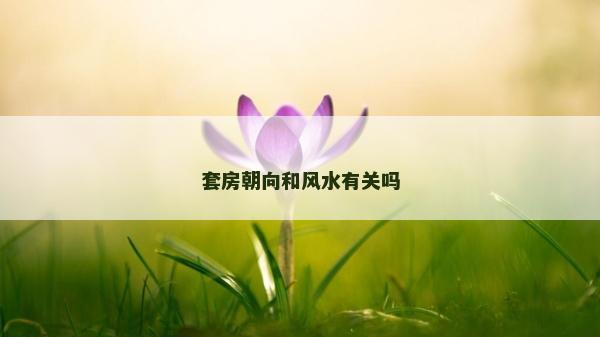 套房朝向和风水有关吗