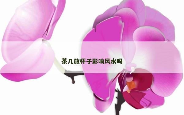 茶几放杯子影响风水吗