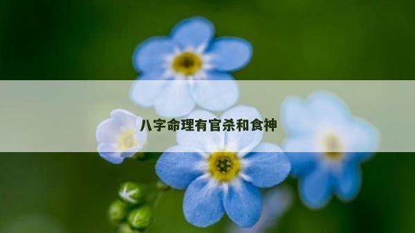 八字命理有官杀和食神