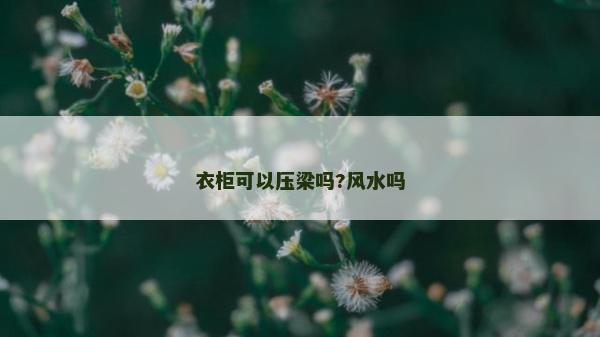 衣柜可以压梁吗?风水吗
