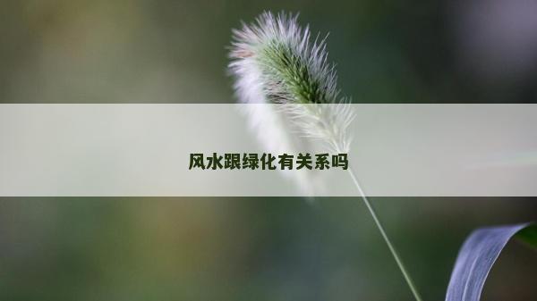 风水跟绿化有关系吗