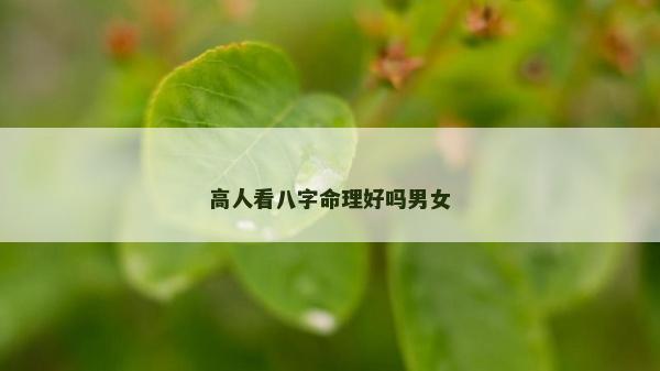 高人看八字命理好吗男女