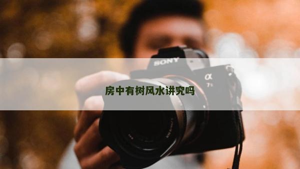 房中有树风水讲究吗