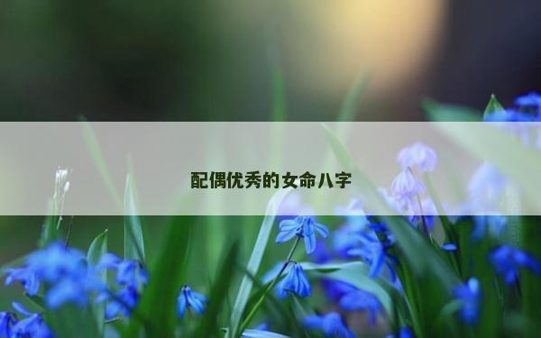 配偶优秀的女命八字