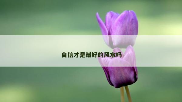 自信才是最好的风水吗