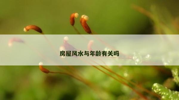 房屋风水与年龄有关吗