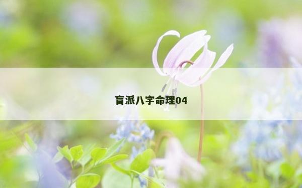 盲派八字命理04