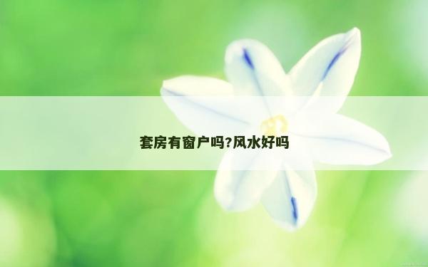 套房有窗户吗?风水好吗