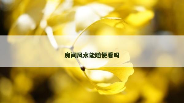 房间风水能随便看吗