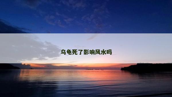 乌龟死了影响风水吗