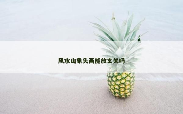 风水山象头画能放玄关吗