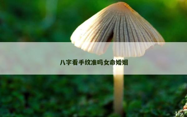 八字看手纹准吗女命婚姻