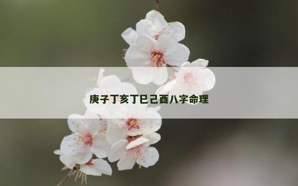 庚子丁亥丁巳己酉八字命理