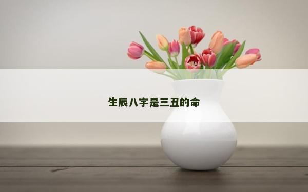 生辰八字是三丑的命