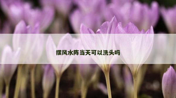 摆风水阵当天可以洗头吗
