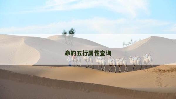 命的五行属性查询