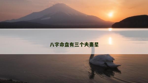 八字命盘有三个夫妻星