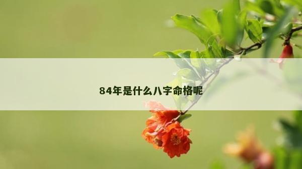 84年是什么八字命格呢