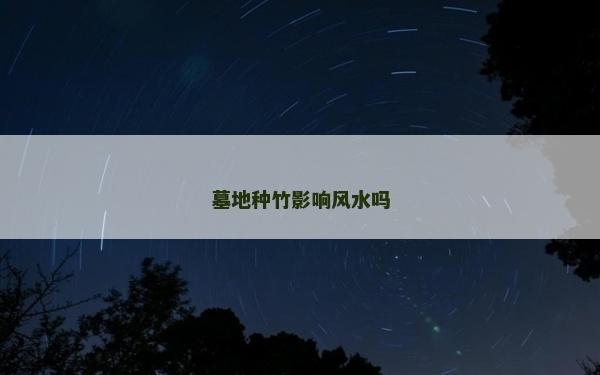 墓地种竹影响风水吗