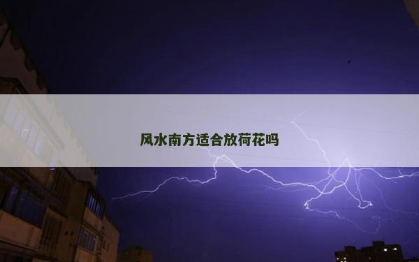 风水南方适合放荷花吗