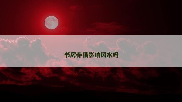 书房养猫影响风水吗