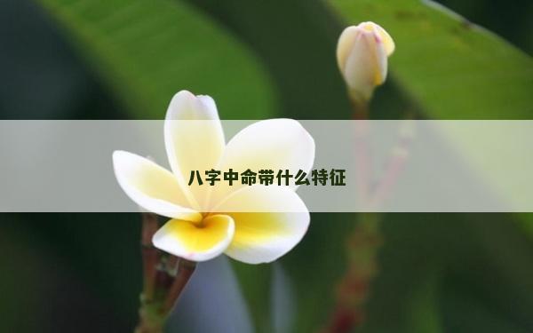 八字中命带什么特征