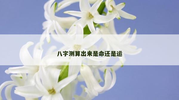 八字测算出来是命还是运