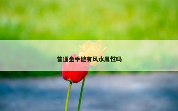 普通金手链有风水属性吗