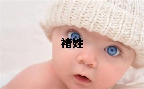 褚姓有涵养的女宝宝名字